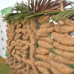 WhatsApp Image 2025-11-10 at 09.26.29 (2)