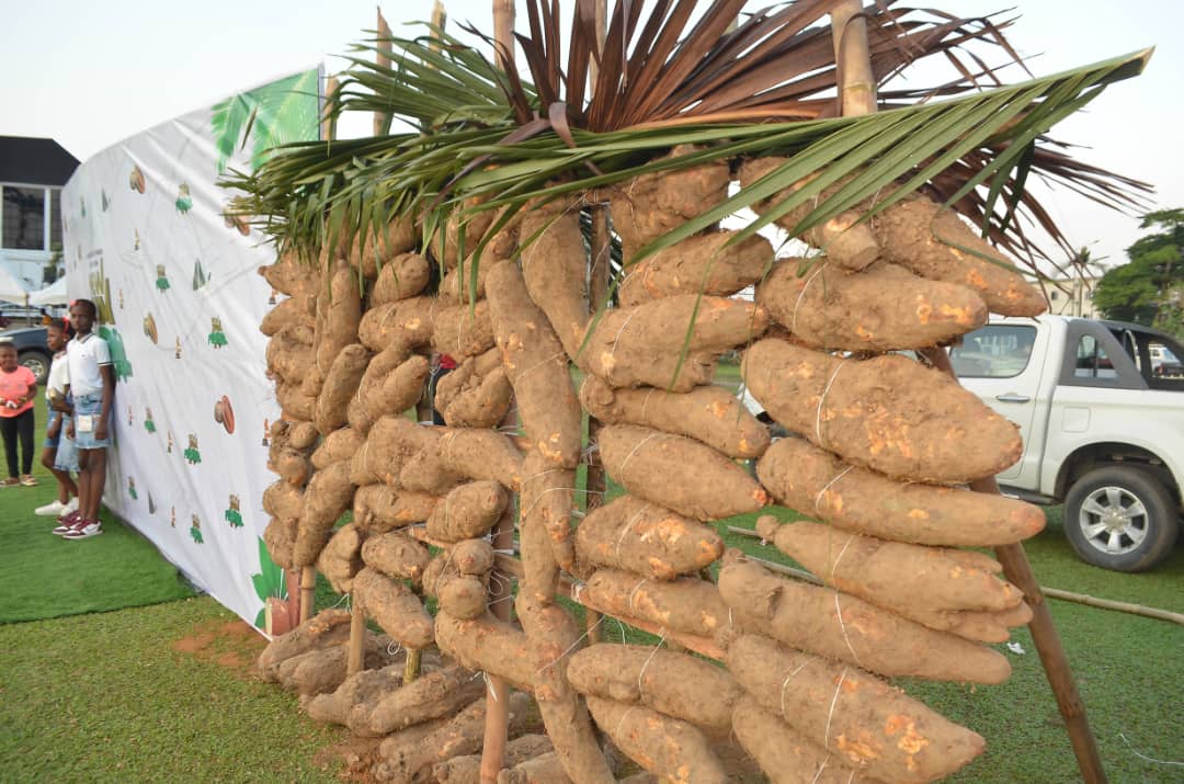 WhatsApp Image 2025-11-10 at 09.26.29 (2)